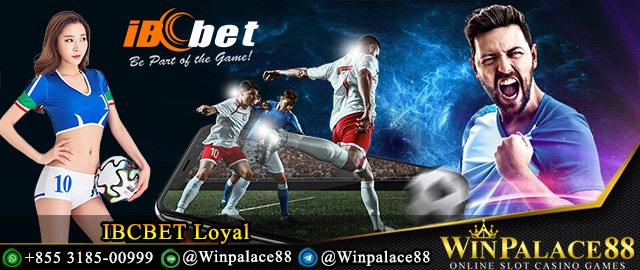 IBCBET Loyal